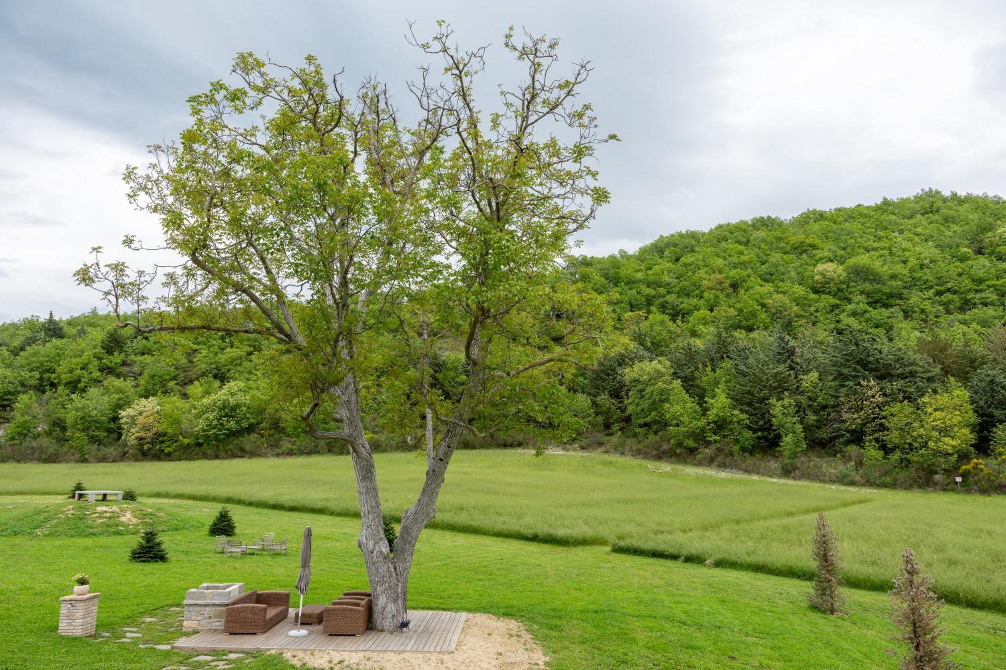 Aura Relais Hotel Urbino Kültér fotó